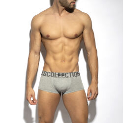 �����-������� "7 Days 7 Colors Trunk 3.0 - Heather Grey" 