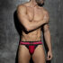- "Double Stripe Jock - Red" 