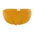 - "Cotton Bikini Briefs Mustard" 
