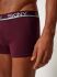 - "Cotton Stretch Trunks 3 Pack - Celebration Selection" ( 3 .) 