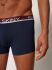- "Cotton Stretch Trunks 3 Pack - Celebration Selection" ( 3 .) 