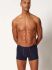 - "Cotton Multipack Trunks 2 Pack - Mistletoe Selection" ( 2 .) 