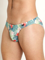 - "RED 2365 Brazilbrief - Hibiscus" (. !) 