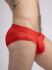 �����-����� "Mesh Briefs with Microfiber - Red" 