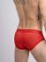 �����-����� "Mesh Briefs with Microfiber - Red" 