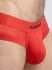 �����-����� "Mesh Briefs with Microfiber - Red" 