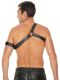 �������� "Ouch! - Gladiator Harness With Arm Band" 