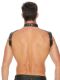  "Ouch! - Men Harness with Neck Collar" 