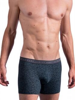 - "RED 2164 Boxerpants - Blue Leaf" (!) 