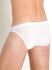 - "RED 2213 Brazilbrief - White" 