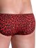 - "M800 - Low Rise Briefs Redleo" 