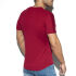 �������� "Basic Ranglan T-Shirt - Garnet" 