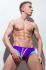 ������-����� "Appollo Briefs Purple" 