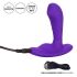 �������� ���������� / �������� �������� "Silicone Remote Pinpoint Pleaser" (� ���������) 