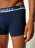 - "Cotton Trunks 3 Pack Blue" ( 3 .) 