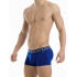 - "Meander Boxer - Blue" 