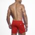   "Fitness Medium Pants - Red" 