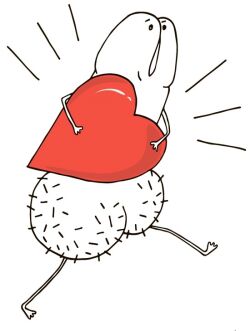  "Lena Selezneva -   - " 