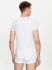  "Supreme Cotton - Cotton Supima Tee-Shirt Crew Neck White" (. !) 