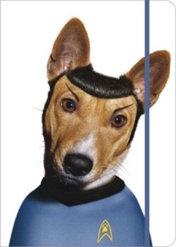 ������� ��� ������� "Takkoda. Space" 