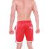 �������� ������� "Luminaire Basketball Shorts - Red" 