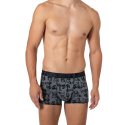 �����-������� "1805202 Trunk - Sedona Sage" 