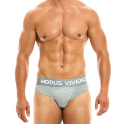 �����-����� "Classic Briefs - Grey" 