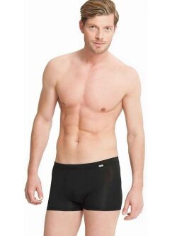 - "22452918 Trunk - Black" 