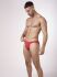 �����-����� "RED 2400 Brazilbrief - Red" (����. ����!) 