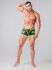 �����-������� "Youngero Generation Y - Men's Fetish Trunks Zipped Rear - Neon Green" 