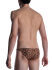 �����-����� "M2001 - Low Rise Briefs Ozelot" 