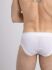 �����-����� "Mesh Briefs with Microfiber - White" 