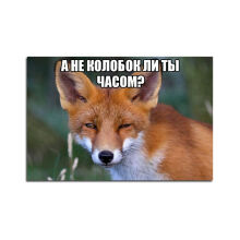 ������ "� �� ������� �� �� �����?" 