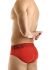 �����-����� "Eternal Briefs - Red" 