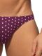 �����-����� "�um Dots Bikini Briefs - Aubergine" 