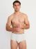�����-����� "2246 Spurt Y-Front Briefs Grey Melange" 