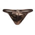 �����-������� "King Cheetah Thong - Rose Gold" 