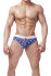 ������-����� "Diego Briefs" 