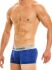 �����-������� "Festive Spring Boxer - Blue" 