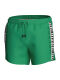 ������-����� "New Tape Short Boardshort - Green" 