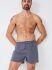 �����-����� "314300 Boxer Woven 2 Pack - Star Blue" (�������� 2 ��.) 